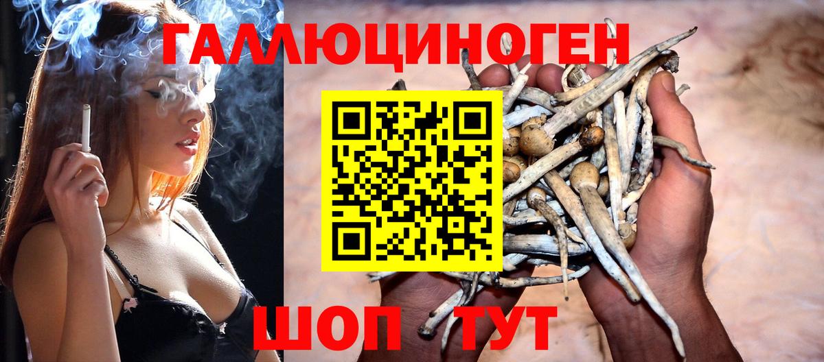 Иваново  Псилоцибиновые грибы Psilocybine cubensis  Вход с VPN 